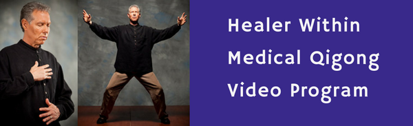 The Healer Within Qigong Video Program